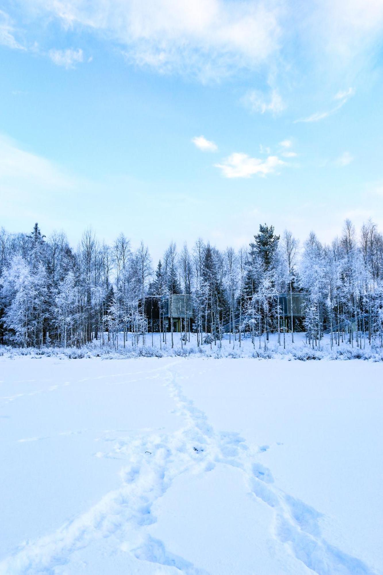 Silver Birch Resort Lapland Рованіемі Екстер'єр фото