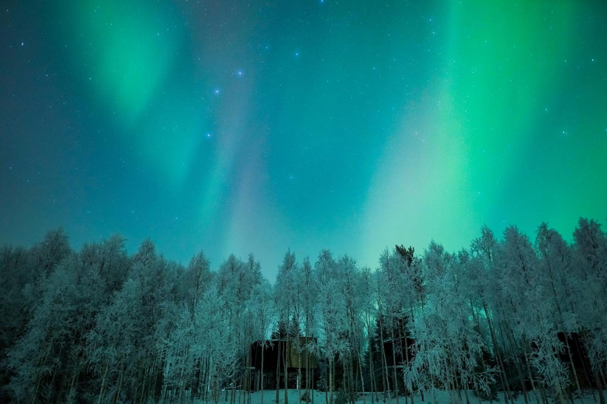 Silver Birch Resort Lapland Рованіемі Екстер'єр фото
